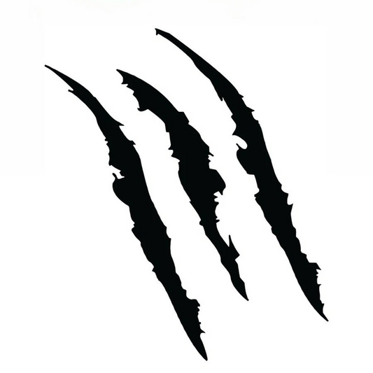 ADESIVO STICKERS DECAL GRAFFIO Auto Moto Tuning Scooter Casco 12x12